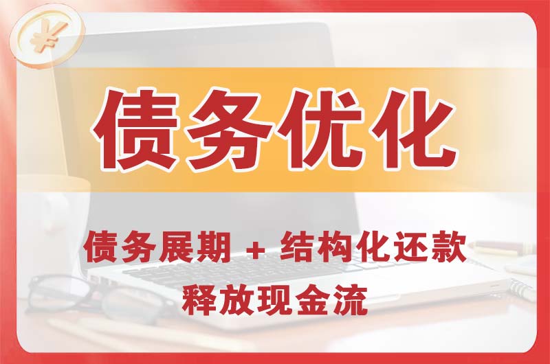 阿勒泰债务优化